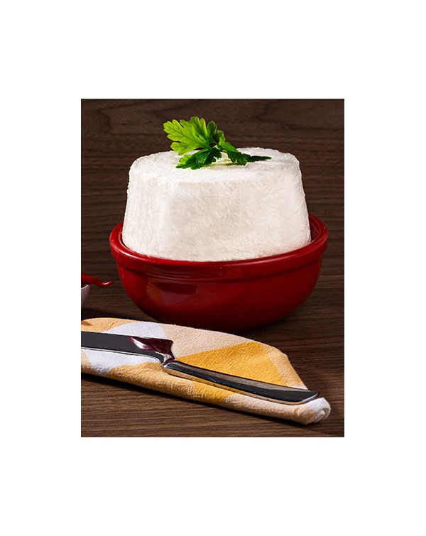 Fresh Cheese